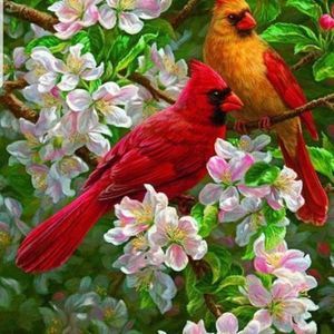 Meet your Posher, Carrie